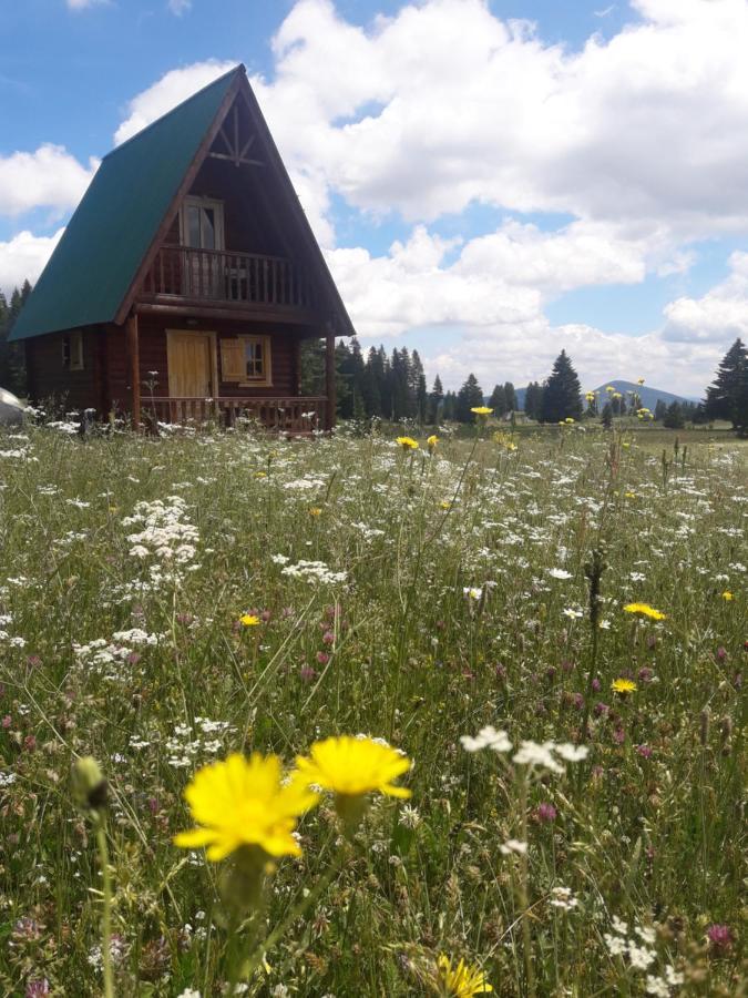 Holiday Home Jabucilo Žabljak Buitenkant foto